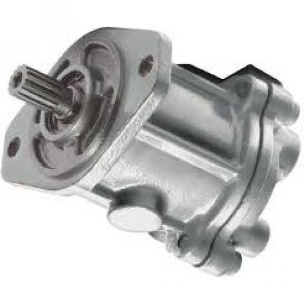 Case 450 2-spd Reman Split Pump Configuration Hydraulic Final Drive Motor #1 image